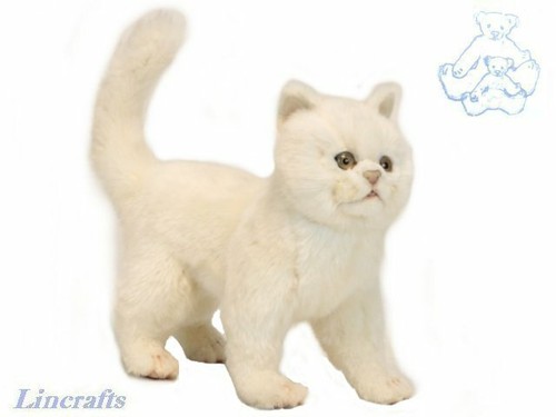 Hansa gattino bianco 6434