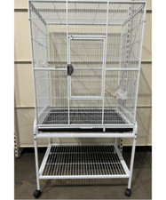 Pappagalli Supplies Florida