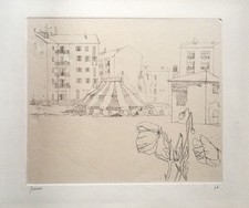 RENZO BIASION - "Fiore e paesaggio" Bella acquaforte originale firmata num p.a.