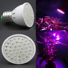  2 LAMPADE GROW HYDROPONIC 3W