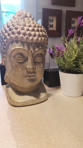 Statua testa buddha cm - statua,
