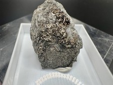 kongsberg argento 