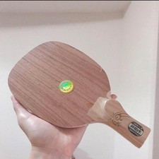 Racchetta da Ping Pong Back