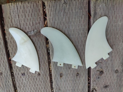 Spine pinna per tavola - 3,