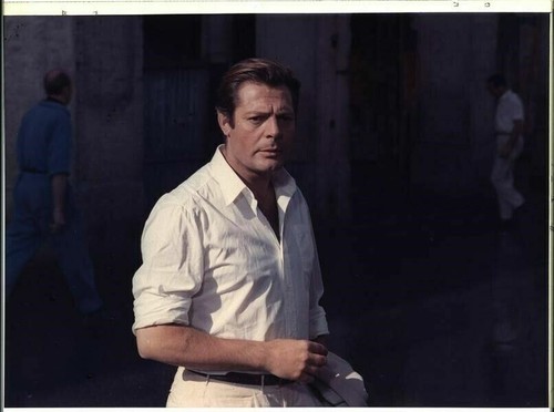 Marcello mastroianni film - mastroianni,