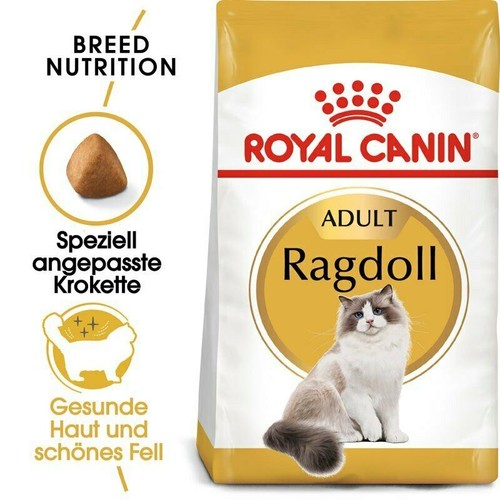 Royal canin ragdoll - ragdoll, adult