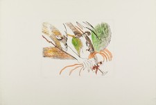 Remo Brindisi (1918-1996) - Acquaforte e Acquatinta Senza Titolo- Tiratura 12/99