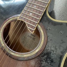 Chitarra elettrica acustica