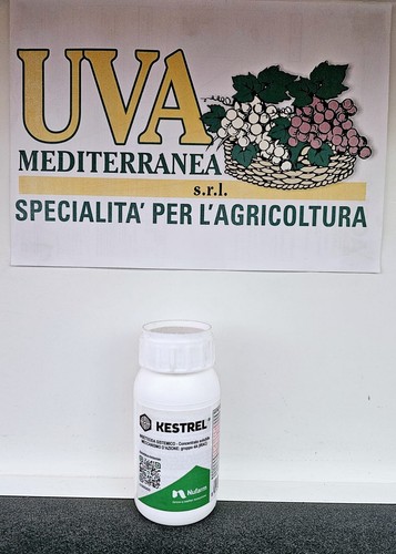 Kestrel 250 insetticida - kestrel,