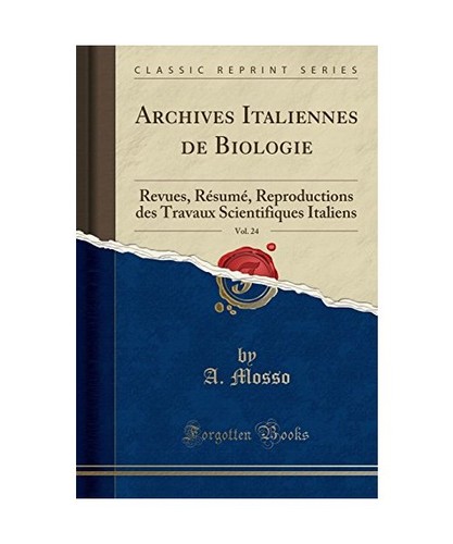 Archives italiennes - archives,