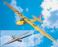 Krick Grunau Baby 1:6 modello