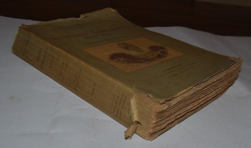 Anatomia chirurgica arti - anatomia,