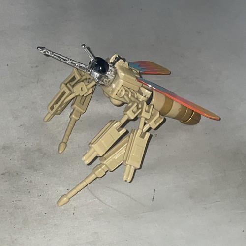Zanzara insetto invasore - zanzara, ko