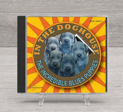 The doghouse cd - in,