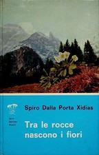 Tra le rocce nascono i fiori