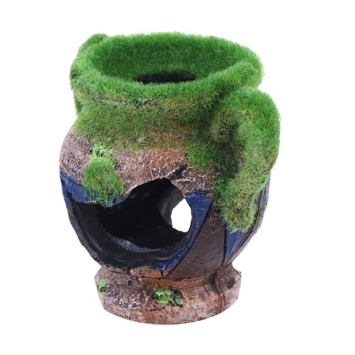 Vaso acquario pesci gamberetti