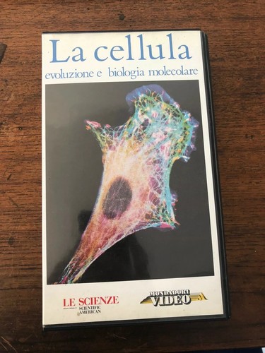 Vhs cellula evoluzione e - cellula,