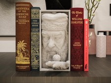 Dumbledore Harry Potter Book