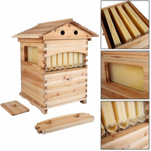 Alveari automatici beehive - alveari,