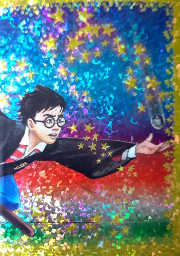 Harry potter sticker album - potter,