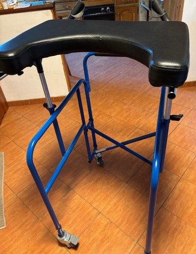 Deambulatore disabili anziani