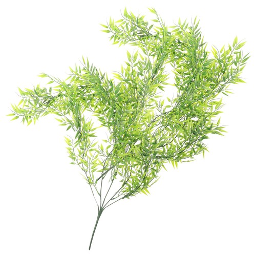 Pcs pianta cadente - 2,