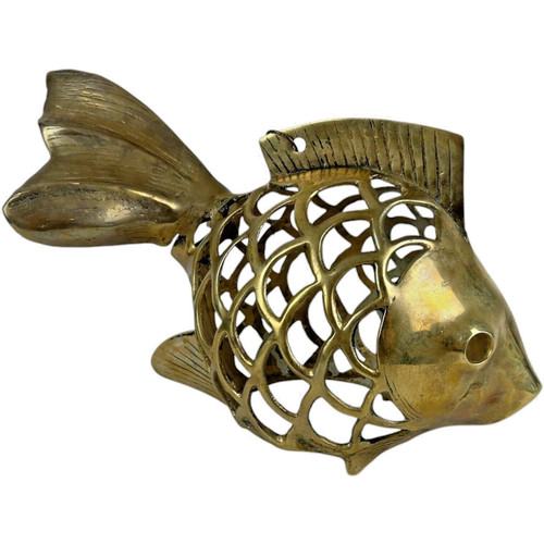 Ottone koi fish - ottone,