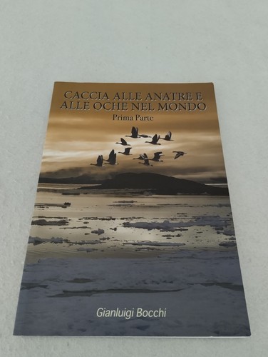 Caccia alle anatre - caccia,