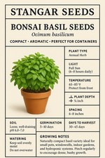 Bonsai Basil