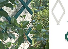 Traliccio Estensibile In PVC Per Piante Rampicanti Recinzione Giardino Balcone
