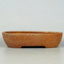 Vaso bonsai giapponese