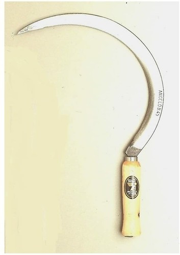 Falciola dentata roncola - falciola,