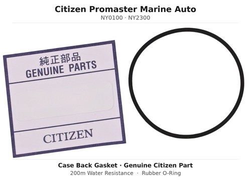 Guarnizione ring citizen - guarnizione,