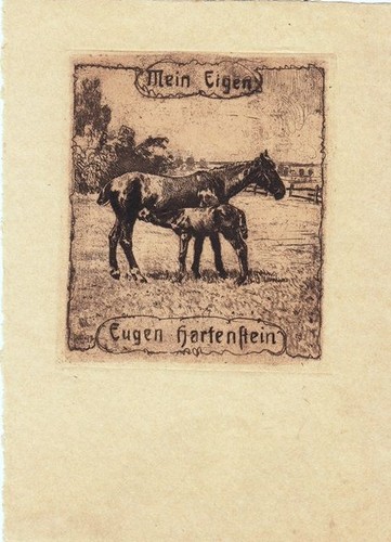 Exlibris bookplate incisione - exlibris,