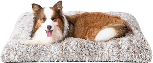 Cuscino per cani taglia - cuscino,