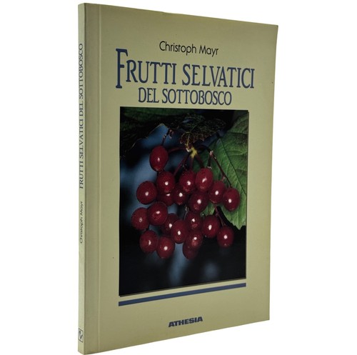 Frutti selvatici del - frutti,