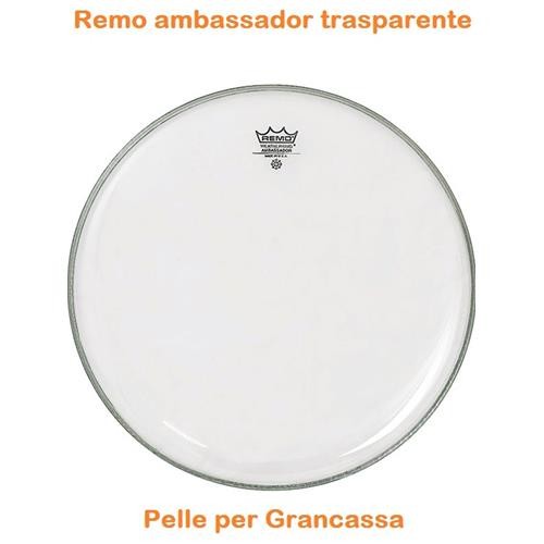 Remo 1318 ambassador - remo,