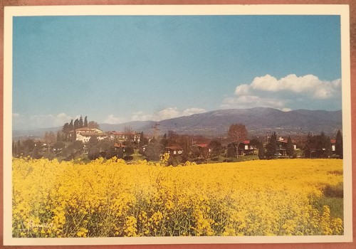 Loppiano campogiallo - -,