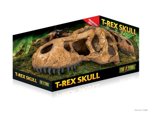 Exo terra rex skull teschio - exo,