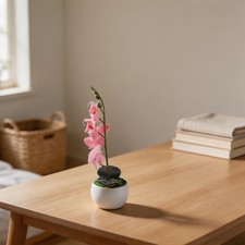 Fiore decorativo a bassa cura