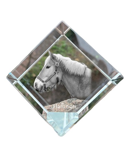 Haflinger dado cristallo - haflinger,