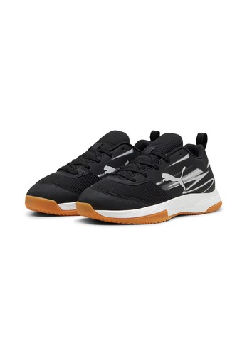 Puma varion - varion, ii