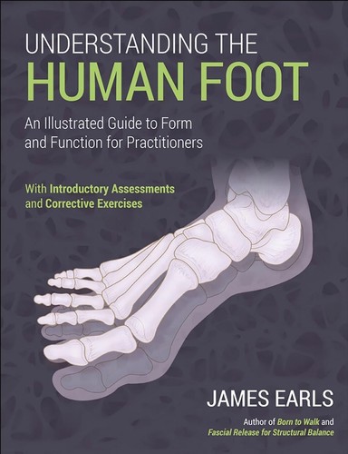 Understanding the human foot - understanding,