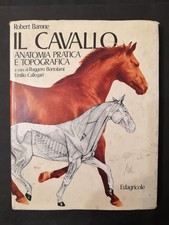 IL CAVALLO Anatomia Pratica e Topografica di Robert Barone - 1^ edizione 1987
