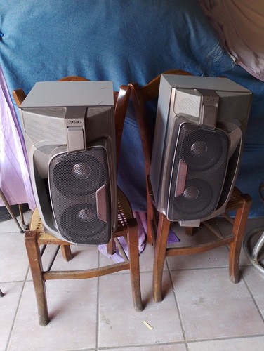 Coppia diffusori sony - diffusori, ss-rxd9