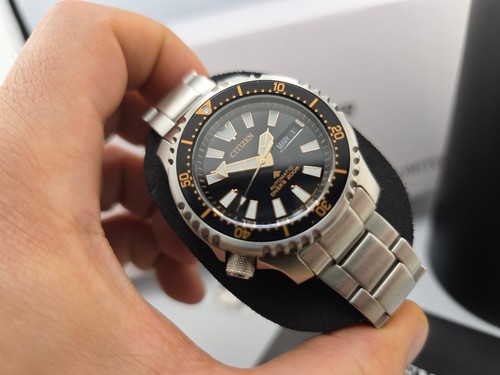 Citizen promaster diver 200 - promaster,