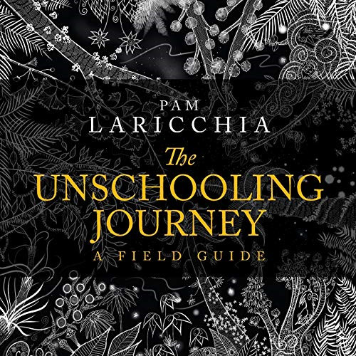 The unschooling journey - the, a