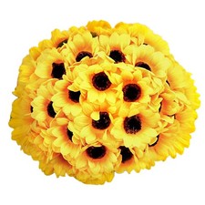 50 Pezzi Teste di Girasole