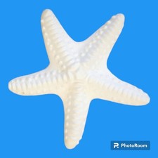 10x Gessetti Stella marina