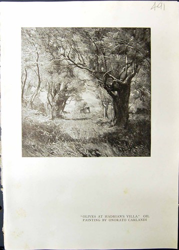 Vecchi olivi adriano - olivi, villa